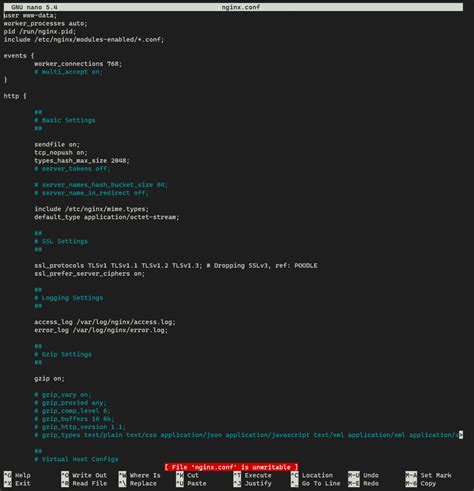 file is unwritable nano